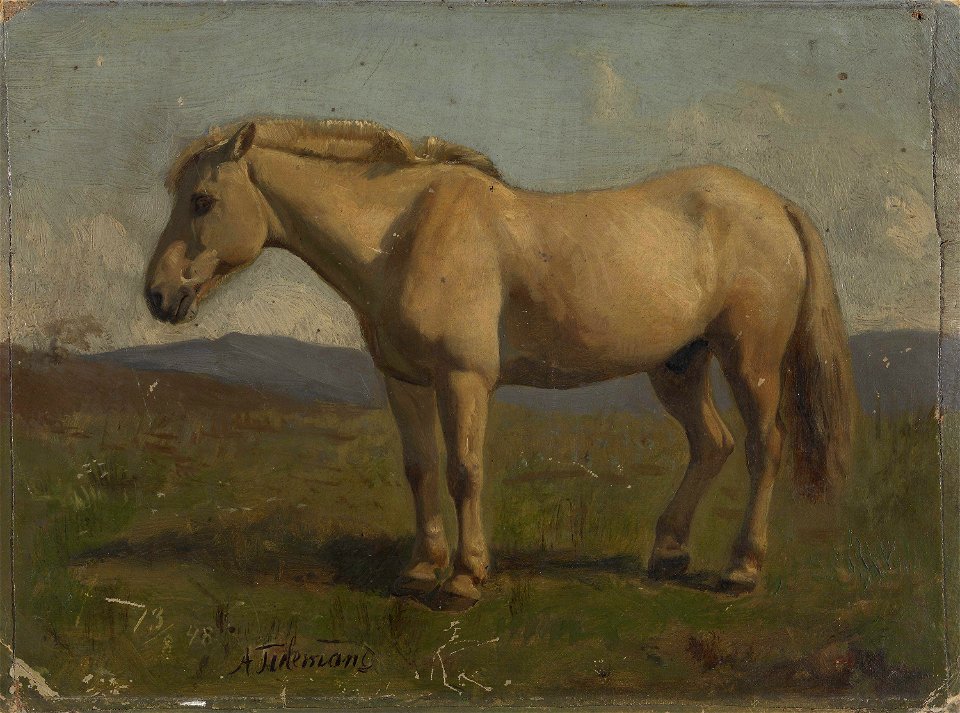 Adolph Tidemand - A dun Horse - NG.M.00981 - National Museum of Art, Architecture and Design