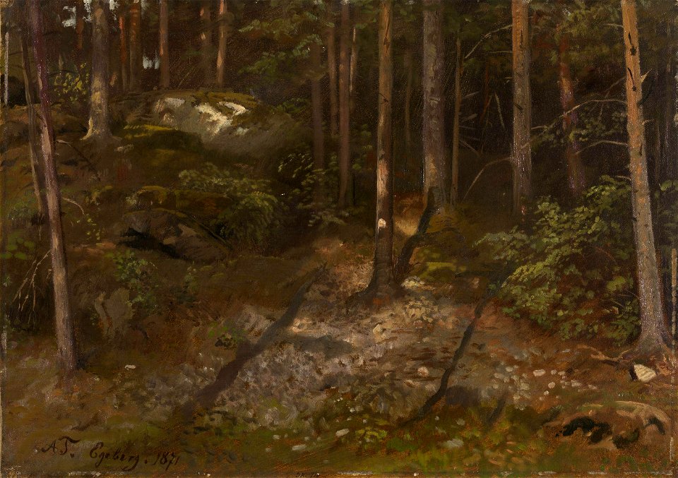 Adolph Tidemand - Forest Study - NG.M.00302-069 - National Museum of Art, Architecture and Design