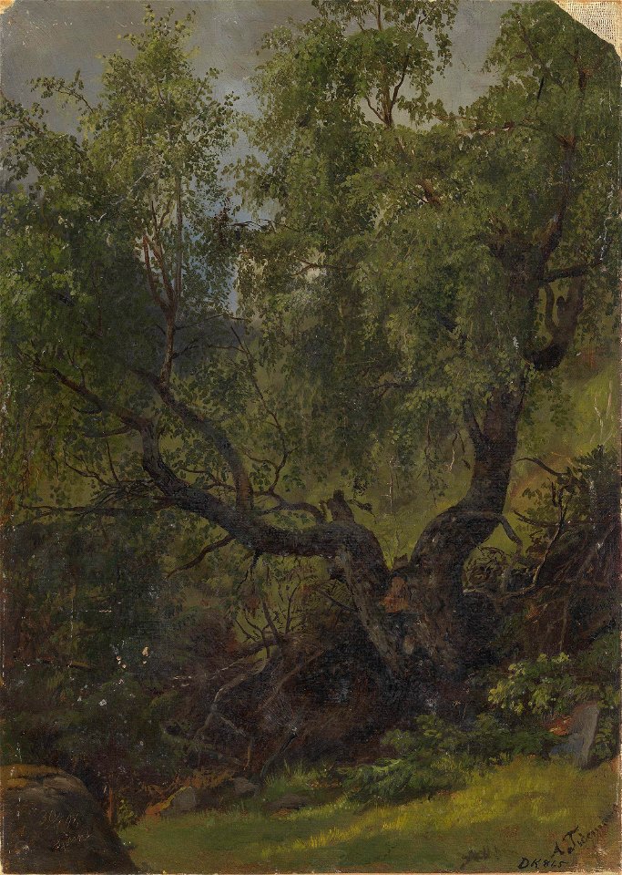 Adolph Tidemand - Forest Study from Numedal - NG.M.00302-043 - National Museum of Art, Architecture and Design
