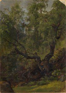 Adolph Tidemand - Forest Study from Numedal - NG.M.00302-043 - National Museum of Art, Architecture and Design