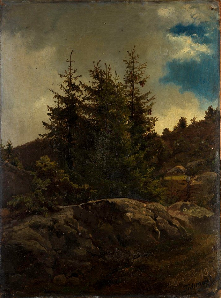 Adolph Tidemand - Landscape from Nes in Hallingdal - NG.M.00302-070 - National Museum of Art, Architecture and Design
