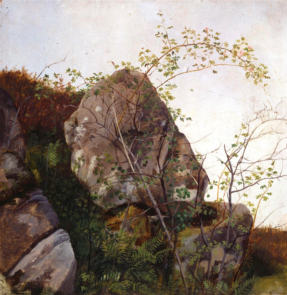 Adolph Tidemand - Study of Dog Roses and Ferns - NG.M.00302-032 - National Museum of Art, Architecture and Design