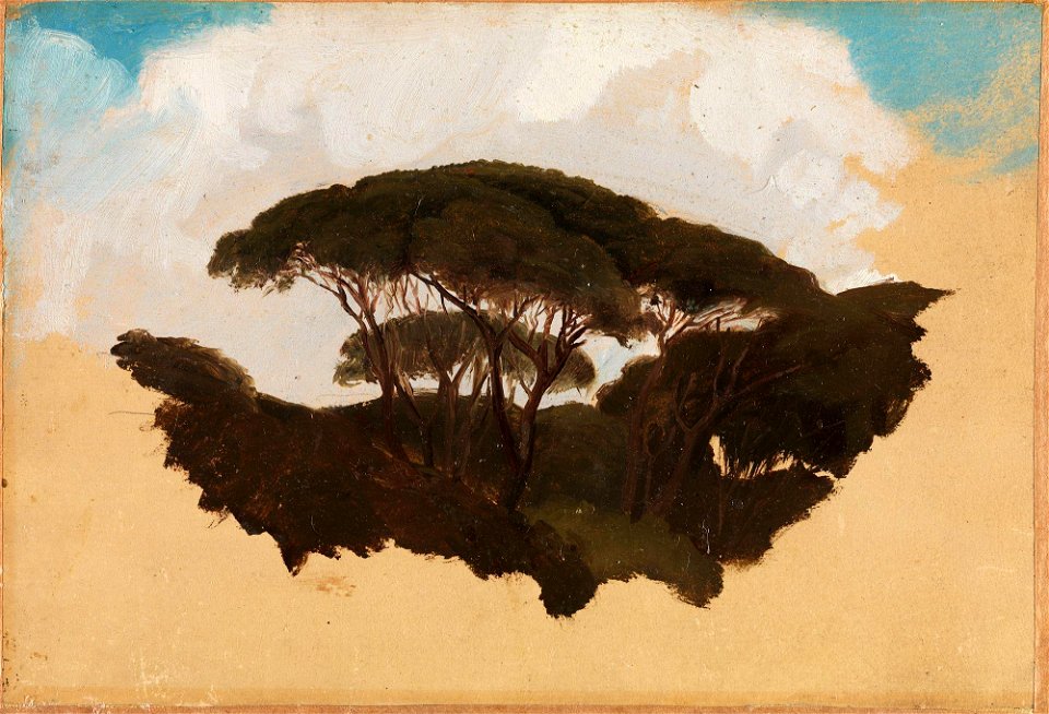 Adolph Tidemand - Study of Stone Pines - NG.M.00302-091 - National Museum of Art, Architecture and Design