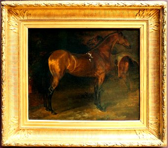 Théodore géricault, cavallo spagnolo in una stalla, 1812-14 ca. Free illustration for personal and commercial use.