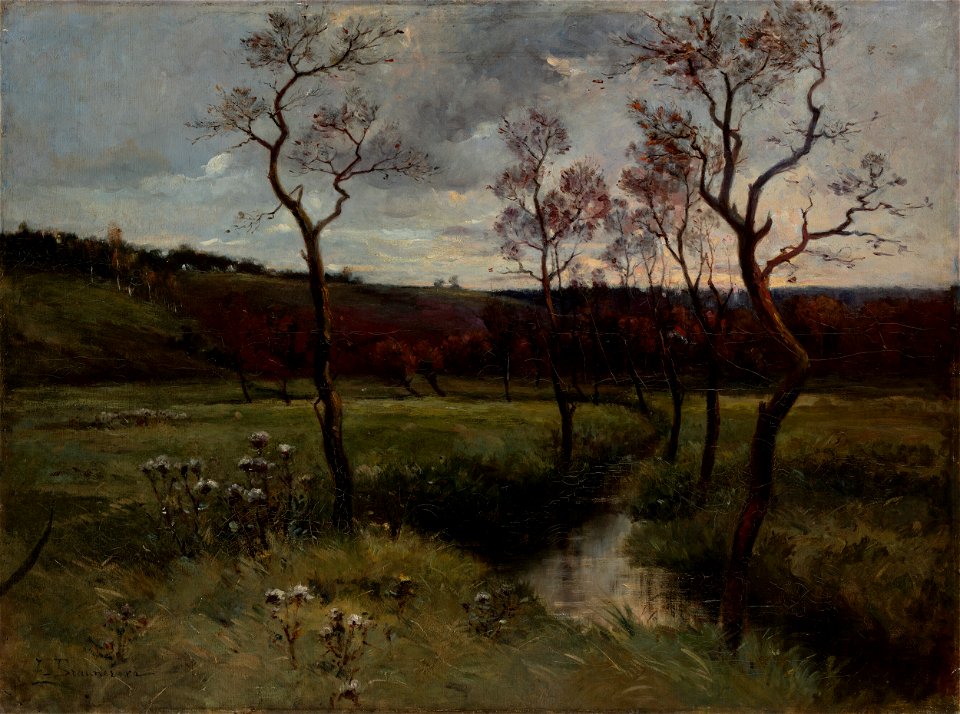 TicheUdoliBraunerová