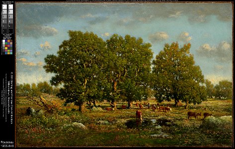 Théodore Rousseau - Landscape with Cows and Oaks - 1955.848 - Clark Art Institute