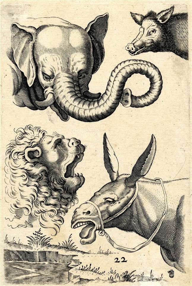 Tierköpfe (Elefant Schwein Löwe Esel) ubs G 0772 II