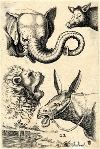 Tierköpfe (Elefant Schwein Löwe Esel) ubs G 0772 II