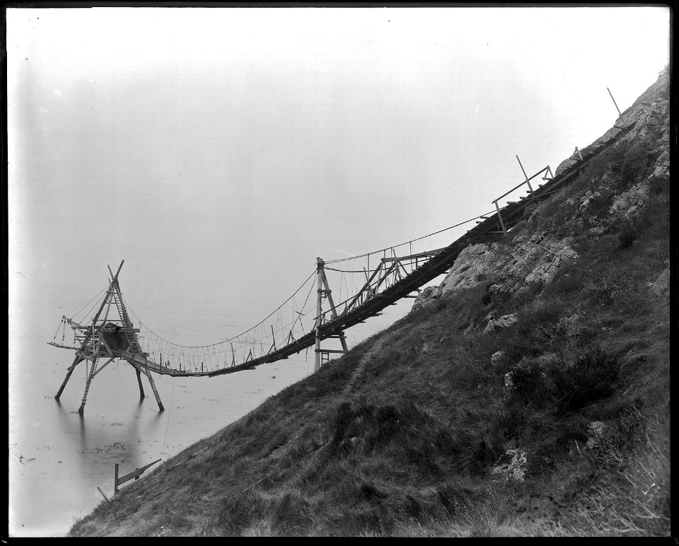 Timber chute to water, Point Arena, California