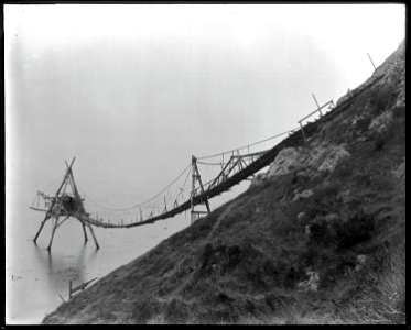 Timber chute to water, Point Arena, California