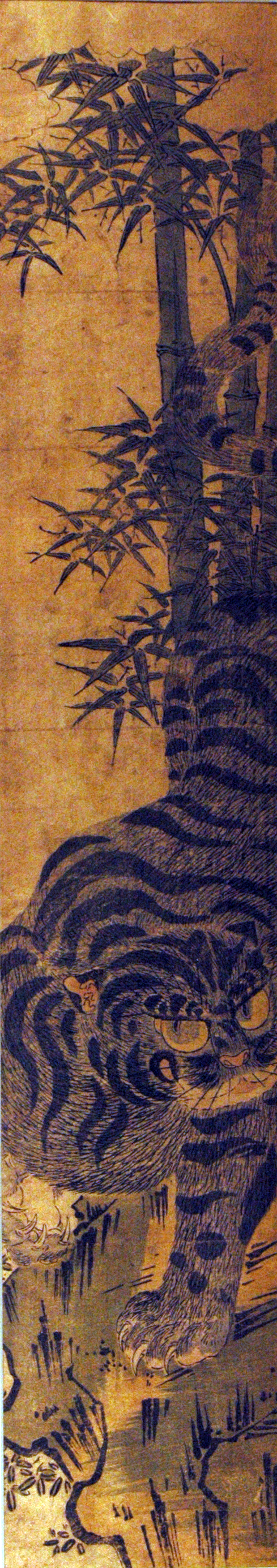 Tiger in bamboo grove (5759422046)