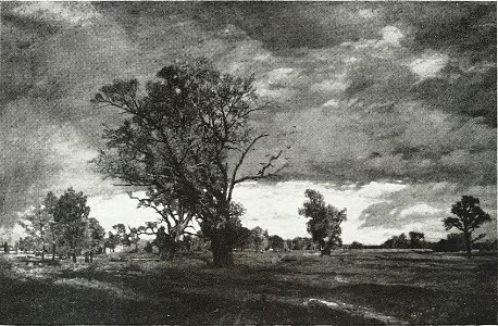 Tina Blau-Große Praterlandschaft mit alten Eichen und starker Bewölkung