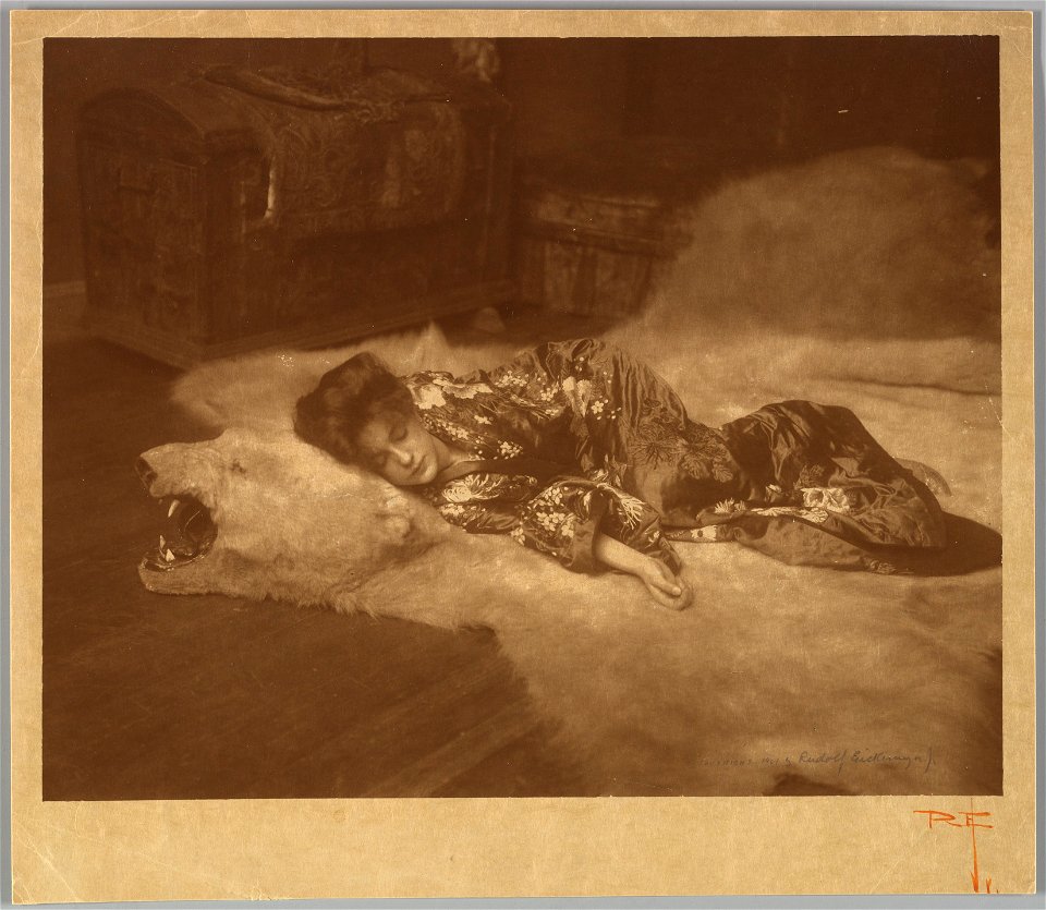 Tired Butterfly MET DP275725