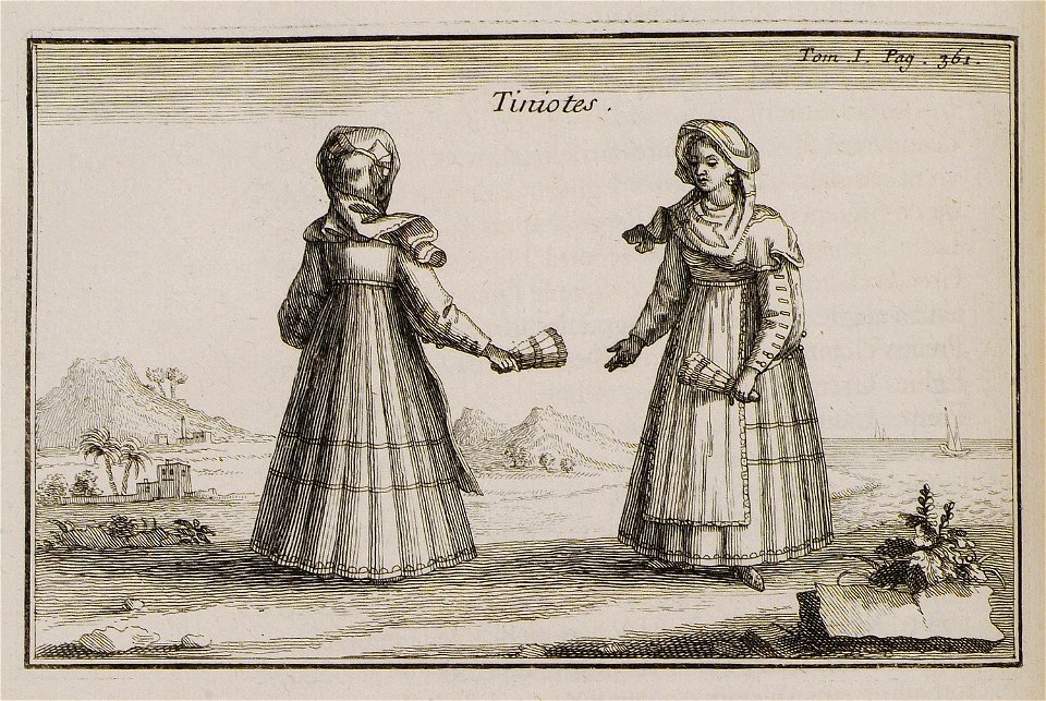 Tiniotes - Tournefort Joseph Pitton De - 1717