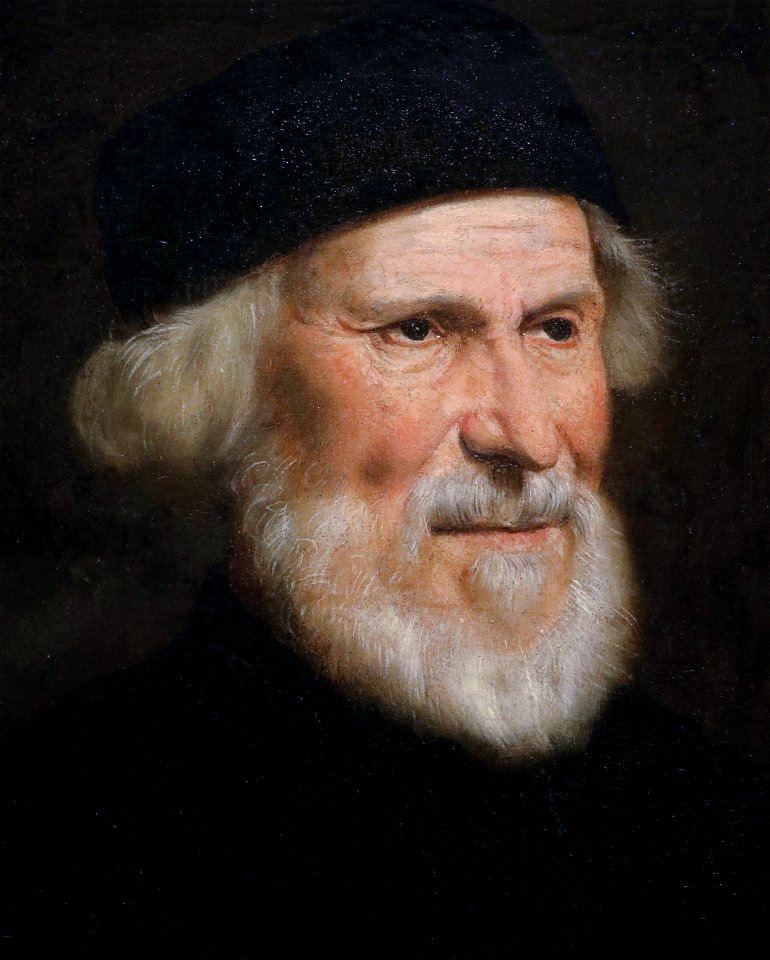 Tintoretto (Jacopo Robusti 1518 - 1594) - Portrait of a Venetian (1550) - SDMA San Diego Museum of ArtFXD