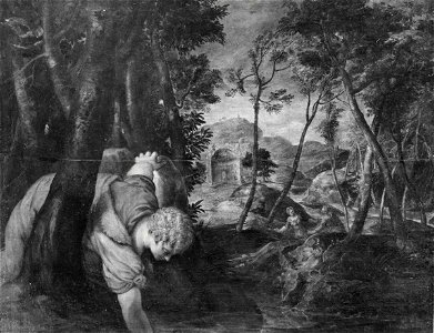 Tintoretto - Narciso, 1555 ca. - 1556 ca., inv. 189