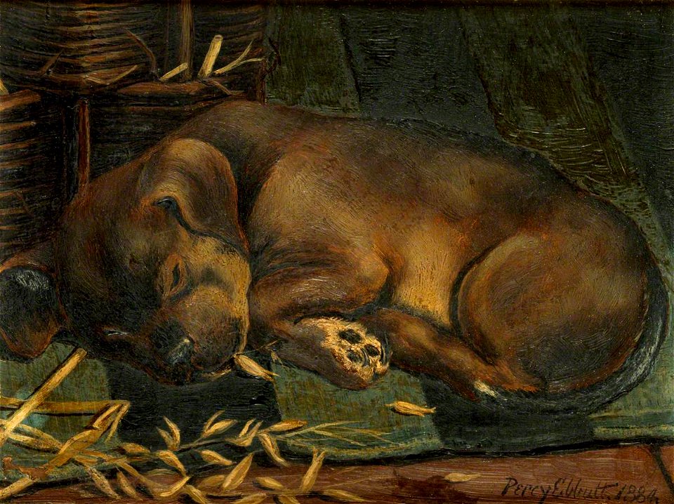 Tired Out (gcf06197)