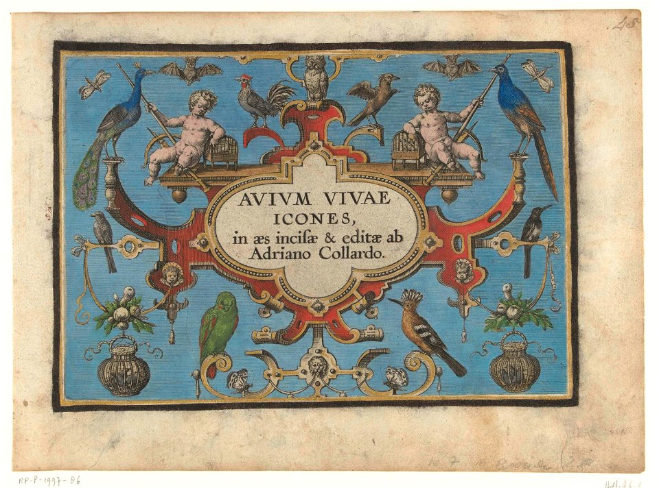 Titelprent voor- Avium vivae Icones...
