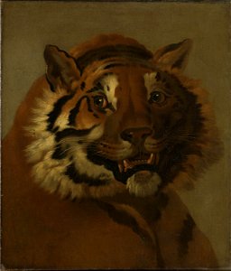 Wilhelm Tischbein - Head of a Tiger - NG.M.00137 - National Museum of Art, Architecture and Design