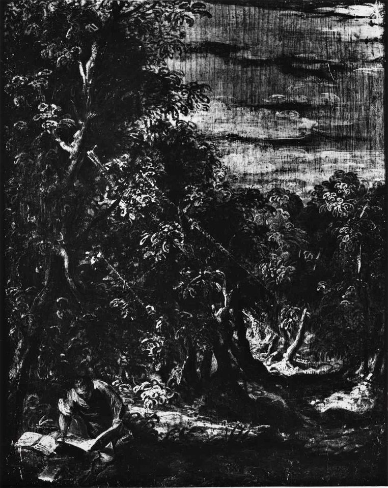 Tintoretto - Paesaggio con eremita, 1580 ca. - 1590 ca., inv. 42-1