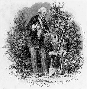Titel Der Nachsommer Axmann