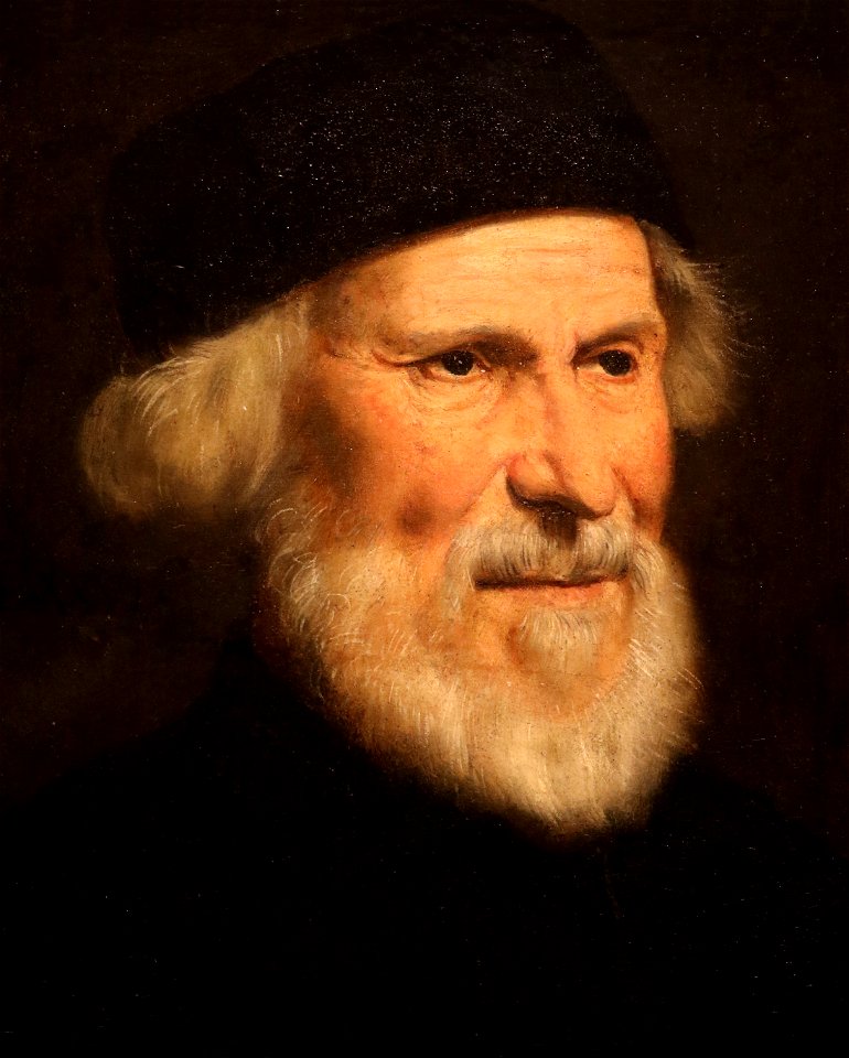 Tintoretto (Jacopo Robusti 1518 - 1594) - Portrait of a Venetian (1550) - SDMA San Diego Museum of Art