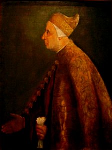 Dogemarcello2