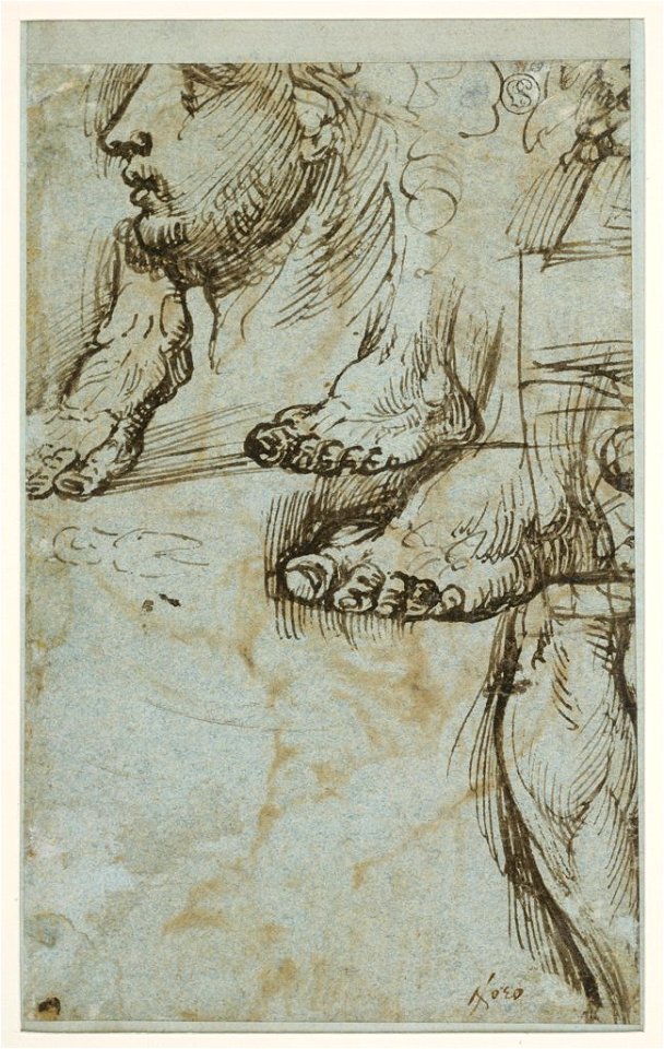 Titian - Study of a head in profile, three feet and a lower leg, ca. 1519 – 1520