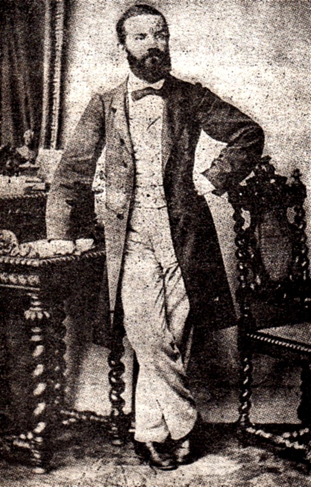 Titu Maiorescu, Berlin, 1876 ILR 410