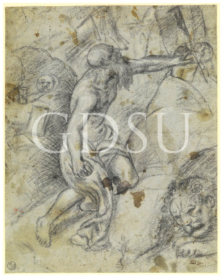 Tiziano - inv 1726 F r., copia da