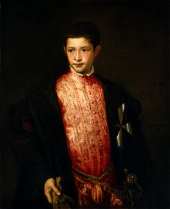 Titian - Portrait of Ranuccio Farnese - WGA22951. Free illustration for personal and commercial use.