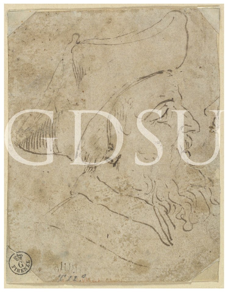 Tiziano - inv 1706 F r., attribuzione tradizionale