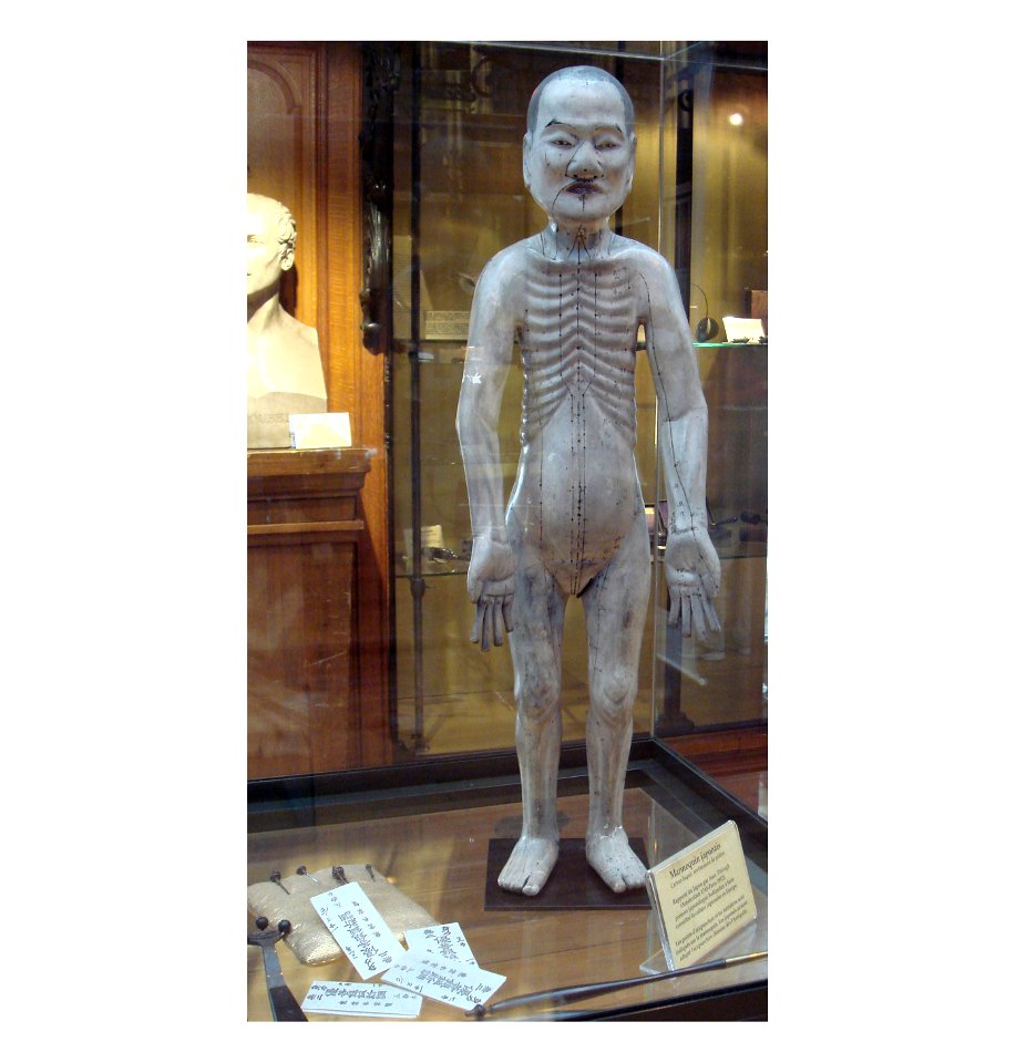 Titsingh Japanese acupuncture manequin b