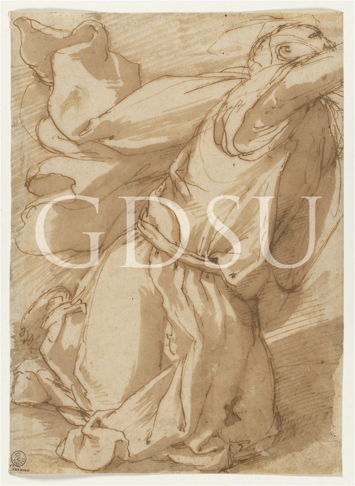 Tiziano - inv 1705 F, attribuzione tradizionale