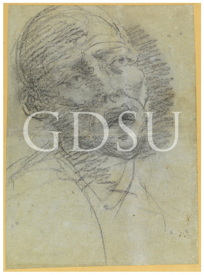 Tiziano - inv 12915 F v., copia da