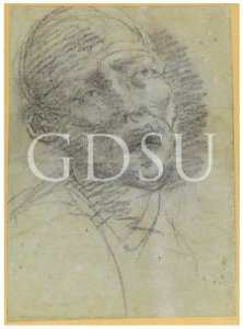 Tiziano - inv 12915 F v., copia da