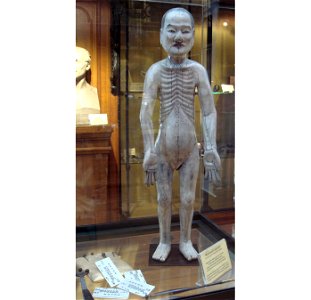 Titsingh Japanese acupuncture manequin a