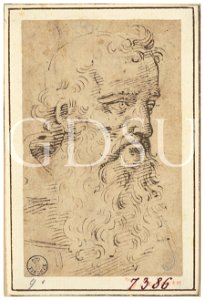 Tiziano - inv 7386 S, attribuzione tradizionale