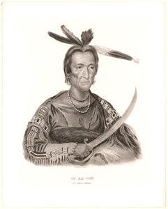 To-Ka-Con, a Sioux chief - A.H. LCCN2013645359