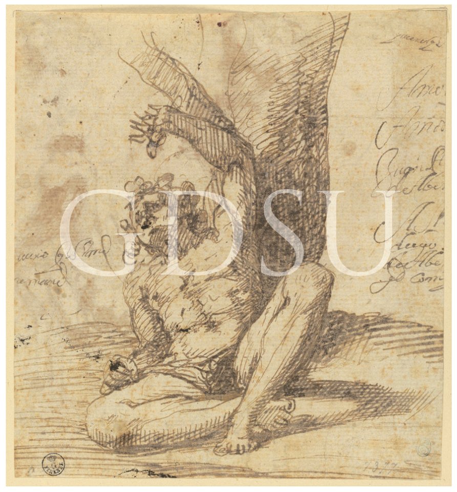 Tiziano - inv 7377 S r., attribuzione tradizionale