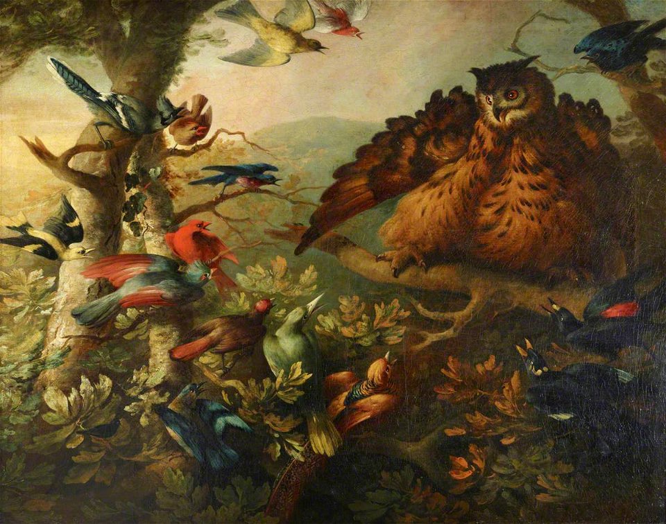 Tobias Stranover (1684-after 1731) - The Mobbing of a Long-Eared Owl by Other Birds - 515567 - National Trust