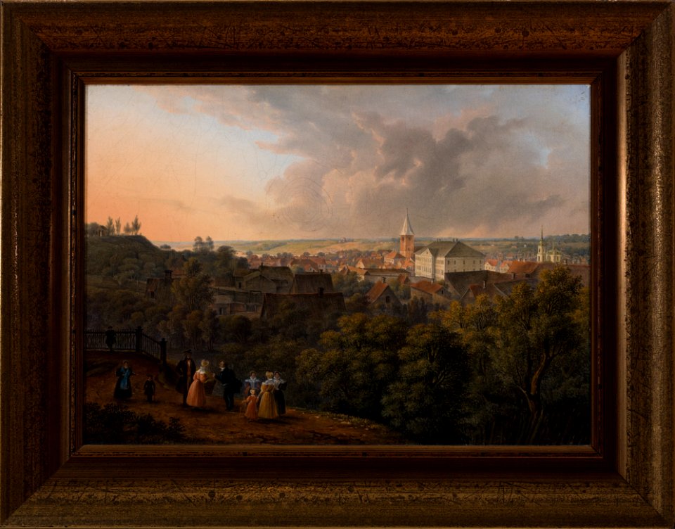 TKM 0737M, Vaade Tartu Toomemäelt, Georg Friedrich Schlater