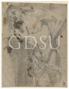 Tiziano - inv 12905 F r., attribuzione tradizionale