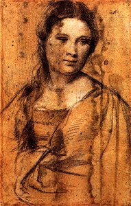 Tiziano, disegno di fanciulla, uffizi. Free illustration for personal and commercial use.