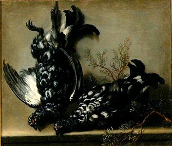 Toegeschreven aan David Klöcker Ehrenstrahl - Korhoenders op een stenen bank - NMStrh 29 - Nationalmuseum