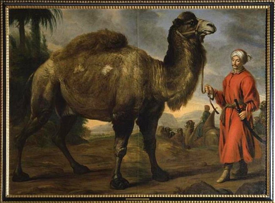 Toegeschreven aan David Klöcker Ehrenstrahl - Portret van kamelendrijver Nils en zijn kameel - NMDrh 9 - Nationalmuseum