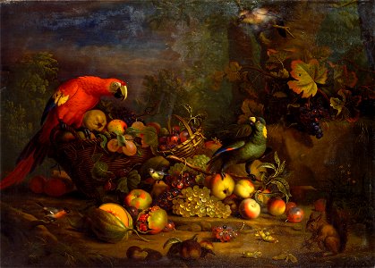 Tobias Stranover - Parrots and Fruit with Other Birds and a Squirrel - Google Art Project. Free illustration for personal and commercial use.