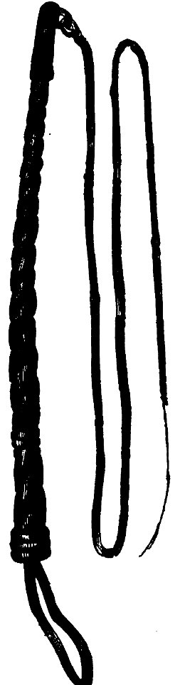 Tjuramega-piska från Vislanda socken Hyltén-Cavallius Wärend och Wirdarne (1868) s226