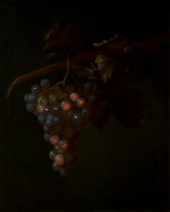 Tobias Stranover (1684-after 1731) - A Bunch of Grapes - 932348 - National Trust