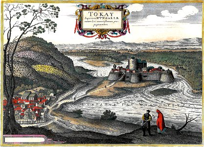 Tokaj G Hoefnagel